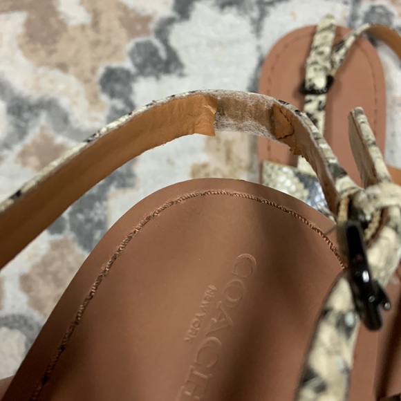 Coach Python Sandals - Picture 8 of 10